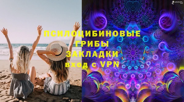 твердый Алзамай