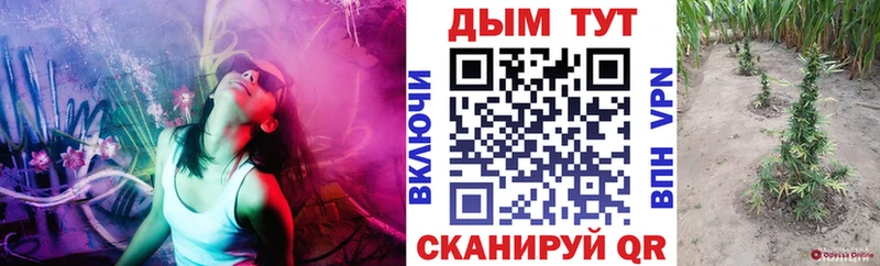МАРИХУАНА сатива  Задонск 